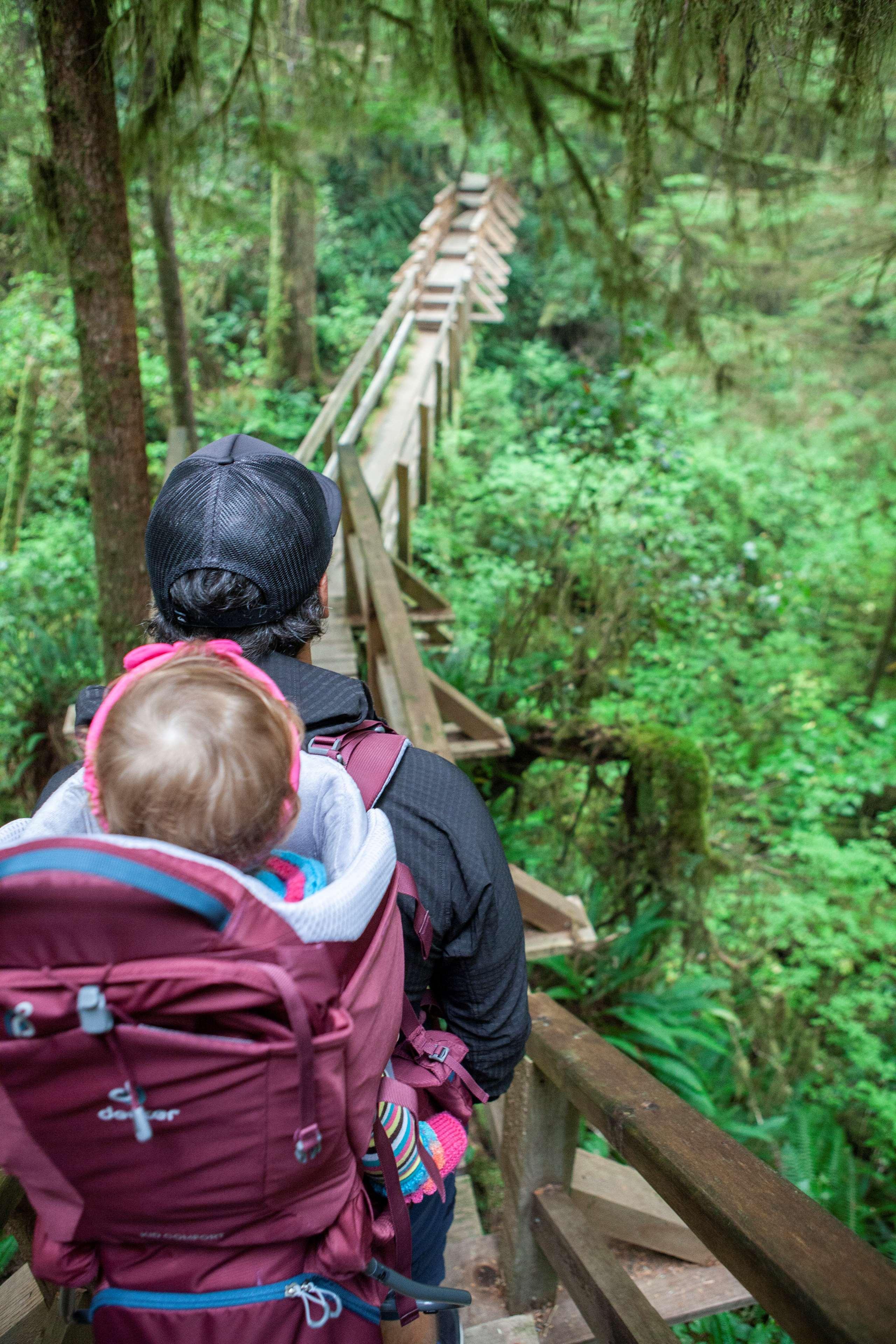 Western Tin Wis Tofino